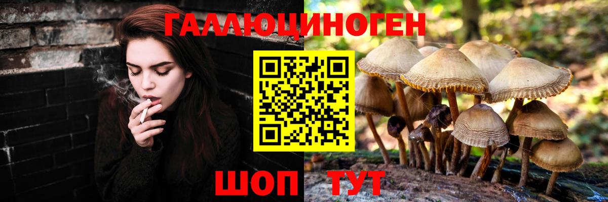 Екатеринбург  Галлюциногенные грибы Cubensis  Вход с VPN  Псилоцибиновые грибы Magic Shrooms 
